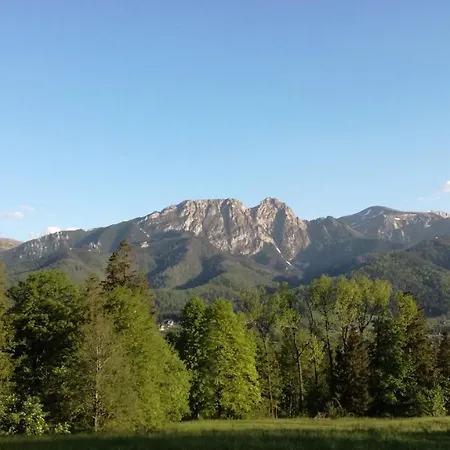 I Na Wyskowkach Jacuzzi & Sauna Alpehytte Zakopane