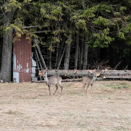 Domek alpejski Na Wyskówkach *