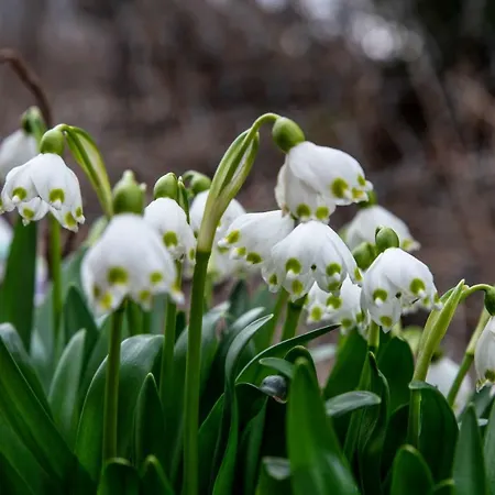 I Na Wyskowkach Jacuzzi & Sauna Alpstuga Zakopane