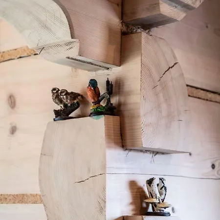 I Na Wyskowkach Jacuzzi & Sauna בקתה *