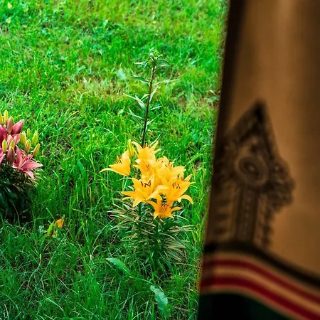 Domek alpejski Na Wyskówkach *